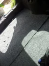 rear carpet.webp