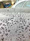 2uyt7dh.webp