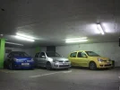 meet240920103.webp