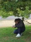 DSC01480.webp