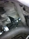 photo 3.webp