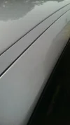 IMAG1141.webp