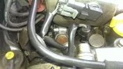 IMAG0582.webp