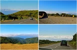 site3.jpg