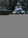 5ad9c2aa-2ea6-0522.webp