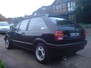 Polo2.webp