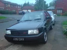 Polo3.webp