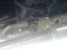 DSC00567.webp