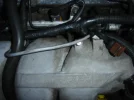 DSC00924.webp