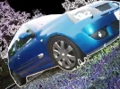 clio cool.webp