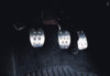 ae_Renault_Sport_Clio_716_08.jpg