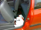 mess.webp