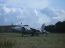 SV100210.webp