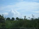 SV100211.webp
