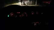 10819099_10203288164708062_1838261939_n.webp