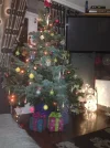 photo[1].webp