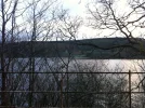 photo15.webp