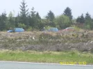 PIC_0607.webp