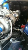 IMAG1408.webp