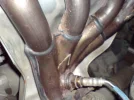 DSC00072.webp