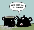 KettleCallingPotBlack.webp