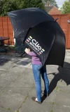 umbrella.webp