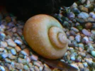 Picture 270 (Medium).webp
