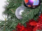 Picture 253 (Medium).webp