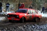 Rallying 126.webp