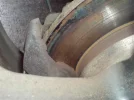 DSC00236 (Medium).webp
