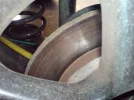 DSC00237 (Medium).webp