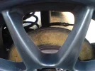 DSC00243 (Medium).webp