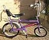 chopper.webp