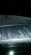 IMAG0220.webp