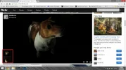 Untitled.webp
