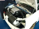 clio-cup_1.webp