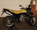 Suzuki2.webp