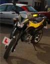 Suzuki1.webp