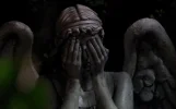 blink.webp