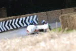 FOS2012373.webp