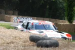 FOS2012594.webp