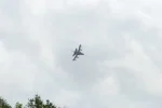 FOS2012622.webp