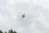 FOS2012622.jpg