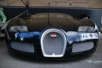 FOS2012721.webp