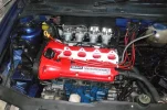 polo engine 1 (Small).webp