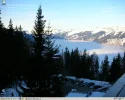 background.webp