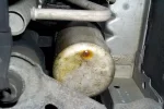 oil.webp