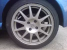 turiniBL.webp