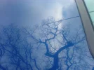 DSC00131.webp