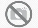 600.webp